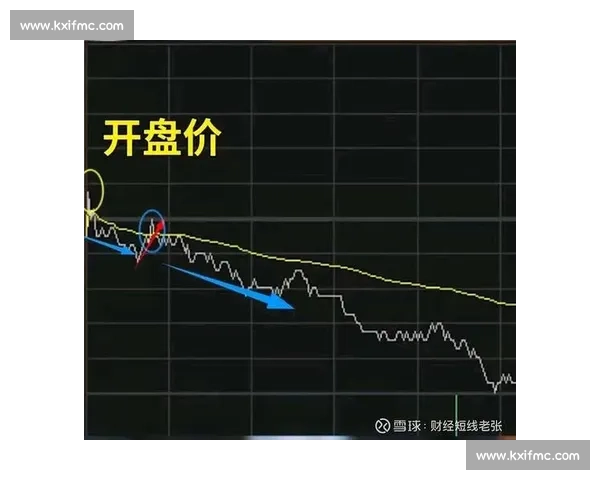 以数据与战术为核心的体育比赛临场走势深度解析与胜负关键判断
